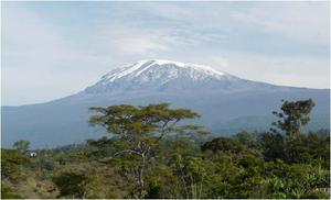 DFG Forschergruppe "Kilimanjaro" genehmigt