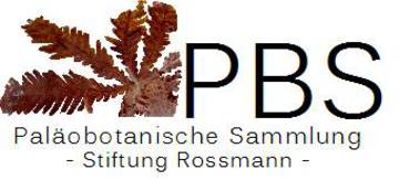 Wiedereröffnung Paläobotanische Sammlung Rossmann