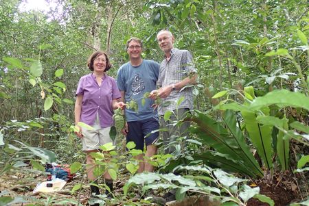 Botanists from Bayreuth explore the unique flora of New Caledonia